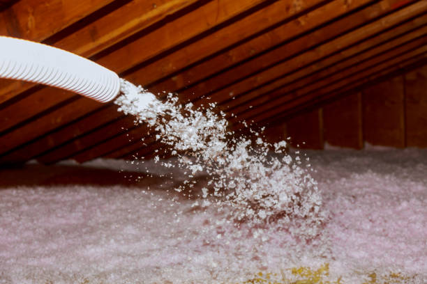 Best Insulation Replacement Services  in Altamont, IL