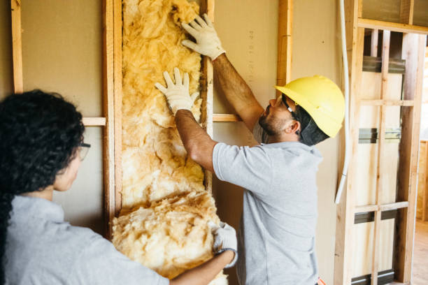 Best Blown-in Insulation  in Altamont, IL