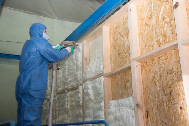 Best Insulation for Commercial Buildings  in Altamont, IL