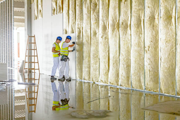 Best Professional Insulation Contractor  in Altamont, IL